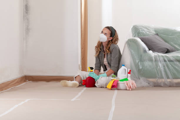 Reliable Mold Remediation contractor in Blue Bell, PA by WQB Mold Removal